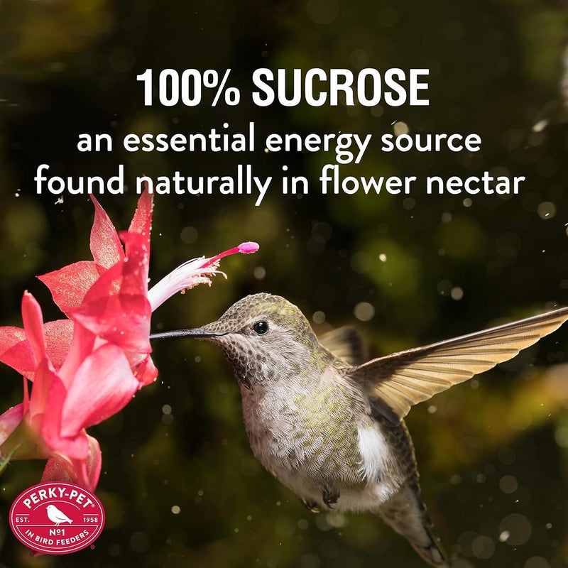 Perky-Pet Hummingbird Nectar Concentrate - 32 fl oz Bottle, Attracts Hummingbirds, Color-Free Formula - Image 4